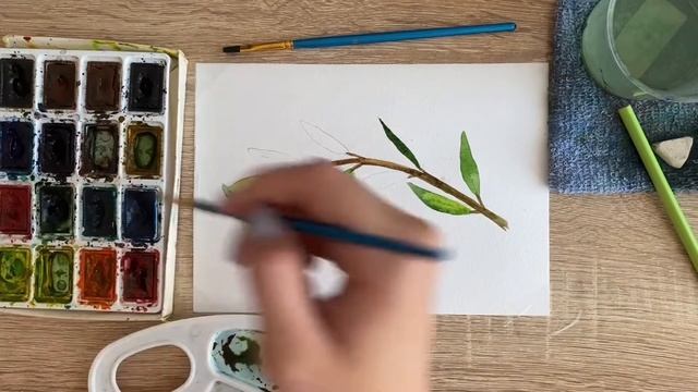 Как нарисовать веточку карандашом и акварелью начинающим | Рисунок для детей смотреть онлайн