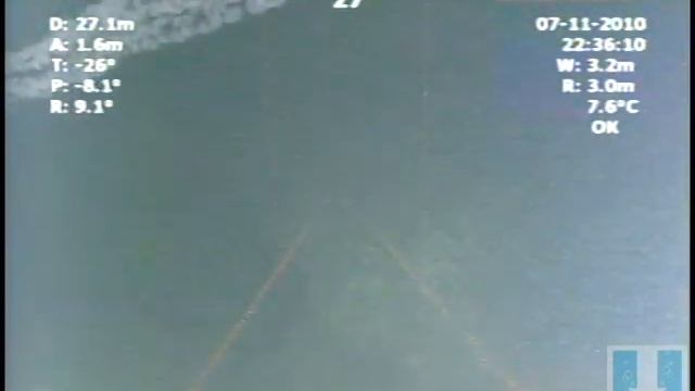 Sea Nettle смотреть онлайн