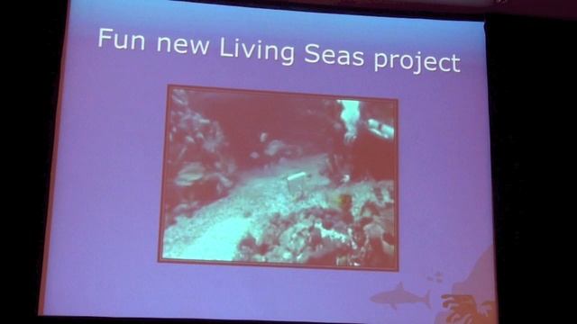 Pharmacology of elasmobranchs Фармакология Эласмобранхов  Natalie Mylniczenko and Tonya Clauss