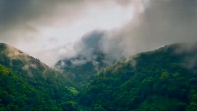 ДАВАЙ ПЕРЕЕДЕМ. Миша Фреш Ручеёк смотреть онлайн