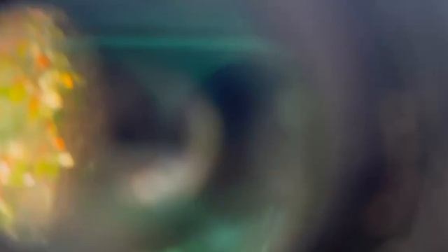 Product Review - VORTEX DIAMONDBACK HD 8X42 BINOCULARS