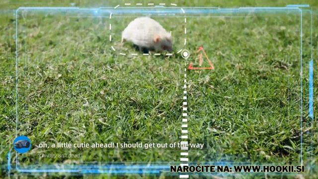 Hookii Robotske Kosilnice: Napredna Tehnologija Za Vaš Vrt