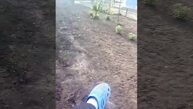 24 часа на столбе!!жесть