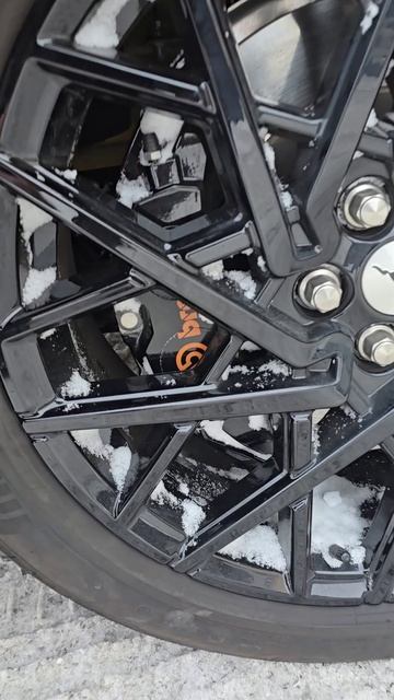 Всего 100 штук в мире в данной комплектации, Ford Mustang 2023 (Форд Мустанг) смотреть онлайн