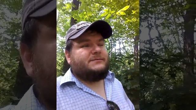 Особенности консультирования на основе индивидуального графика жизни в нумерологии смотреть онлайн