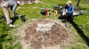 Выкорчевываем абрикос и сажаем алычу!