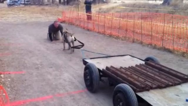 RS High Octane: 1000 lbs @ Fallon Weight Pull 3/11/12 смотреть онлайн