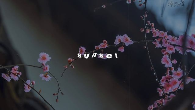 clairo - sofia (sped up & reverb) смотреть онлайн