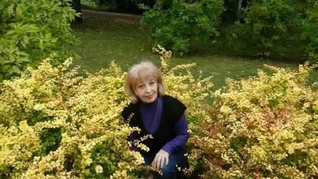 Копия видео В ботаническом саду! Уфа! смотреть онлайн