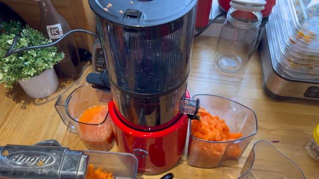 The best slow juicer in the UK for carrot juice! Hurom H300 vs Super-angel juicer смотреть онлайн