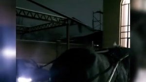 Стефан Ангарец "Амэ Пшалэнца Грэн Чёрас" Романэ Гиля Romane gilya цыганская песня.