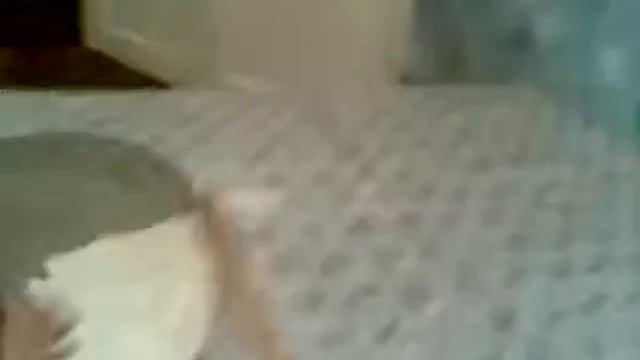 Пицца заказ кылгыла смотреть онлайн