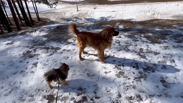 Весеннее настроение. #онкобудни #весна