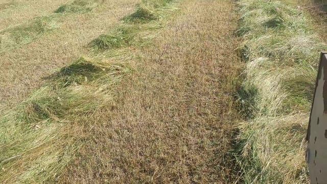 Fortschritt e302 kaszálás смотреть онлайн