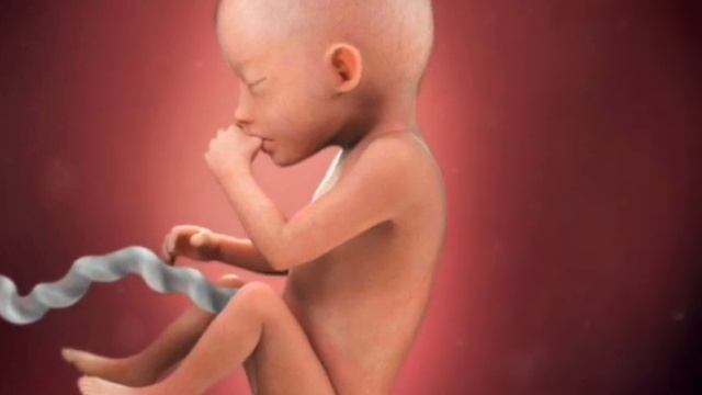 Homiladorlikning 20-haftasi. 20 Haftalik Homila. Homiladorlikning Yigirmanchi Haftasi.