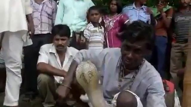 Snake festival charms villagers in east India We worship snakes, we would never want смотреть онлайн