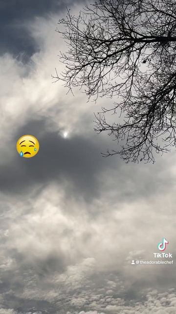 The Cloud on Long Island NY photobombed the total solar eclipse 😭😭 #totalsolareclipse смотреть онлайн