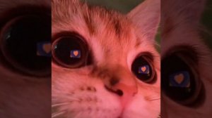 музыка для флешмоб||без мата