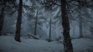 Расслабляющий снежный ветер ASMR 10 часов для сна