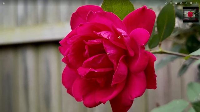 Surface Duo 2's camera receives major update, faster shutter than Z Fold! смотреть онлайн