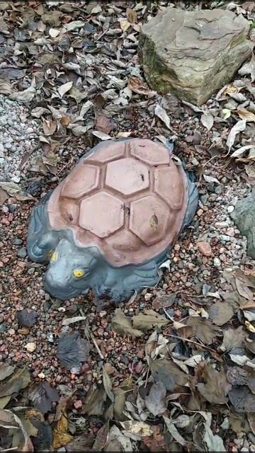 Черепаха из бетона смотреть онлайн