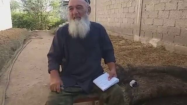 ба суроғи кали қмба. смотреть онлайн