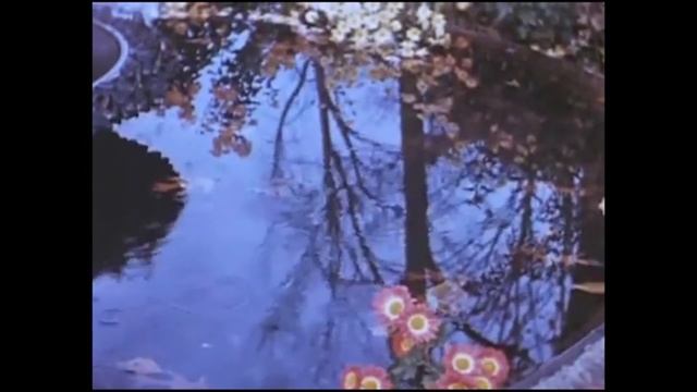 secondsun - flowers ep смотреть онлайн