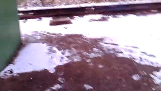 Поход на овощную базу