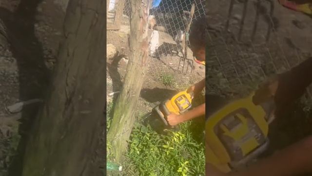 Young female farmer chainsaw saga смотреть онлайн