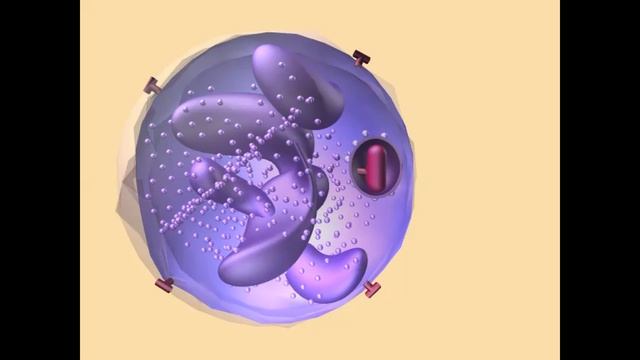 PHAGOCYTOSIS смотреть онлайн