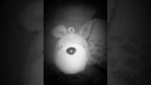 Первый в мире говорящий заяц смотреть онлайн