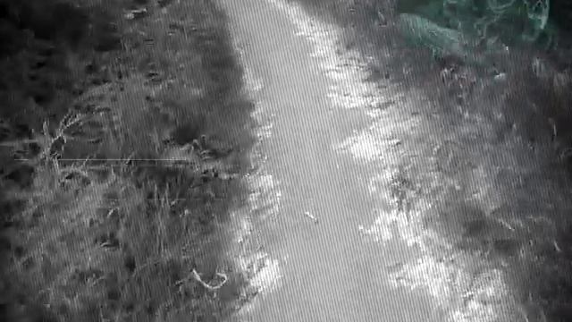 Реакция ежа смотреть онлайн