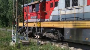 Тепловоз ЧМЭ3-4629 с грузовым поездом, ст. Купавна.
