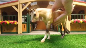 Распаковка посылки Breyer/Обзор самодельной конюшни Schleich