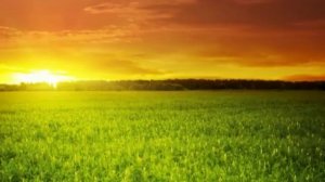 "Барака хакида дарслар" (6 - дарс) - Шайх Содик Самаркандий