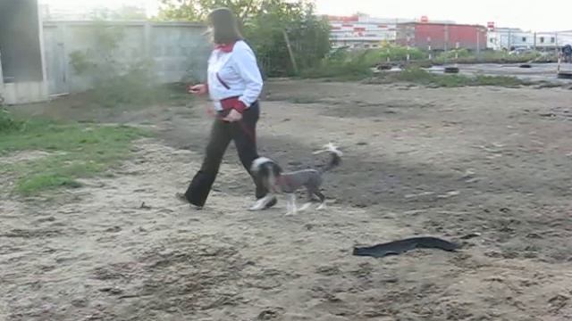 15.09.2014 - социально-опасный неадекват смотреть онлайн