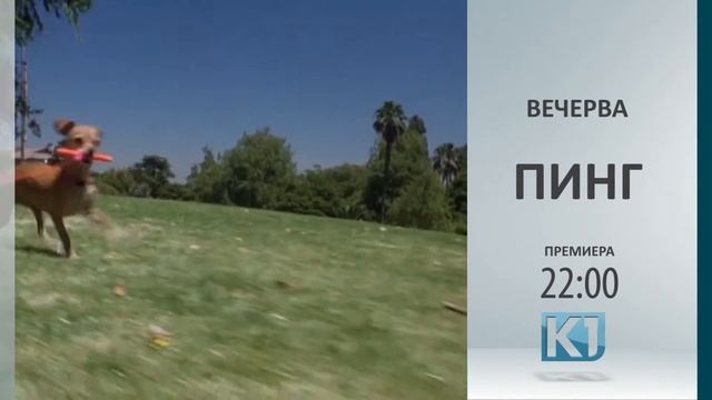 ВЕЧЕРВА ПРЕМИЕРА „ПИНГ“ 22-00 час смотреть онлайн