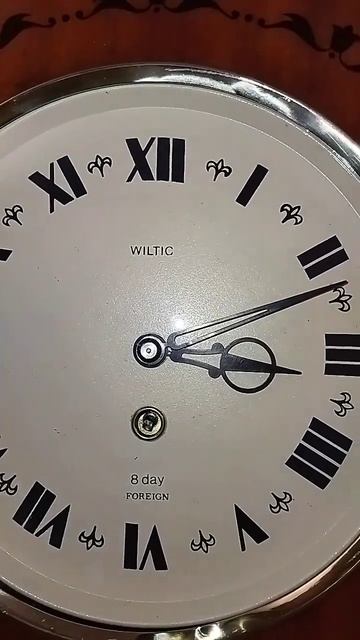 21 ноября 2023 г. смотреть онлайн