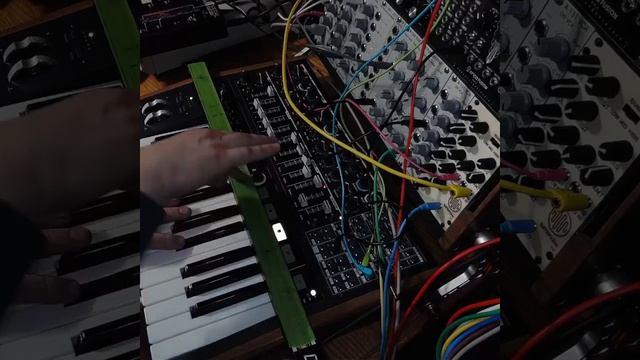 Lumanoise V4 Trautonium Patch #lumanoise #eurorack смотреть онлайн