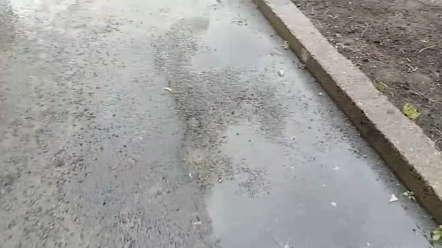 Мой Типичный день //школа+бассейн смотреть онлайн