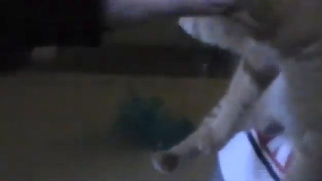 Я ВСТРЕТИЛ БРАЙН МАПСА TheBrianMaps ИНТЕРВЬЮ V 2.0