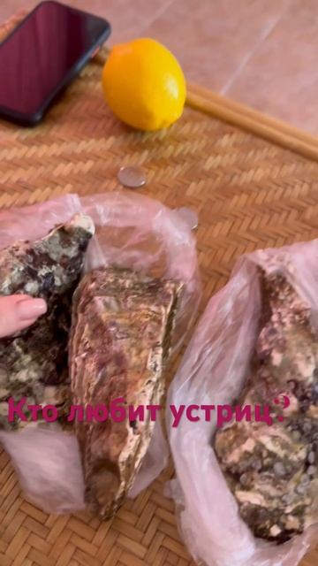 Пишите как относитесь к устрицам? смотреть онлайн