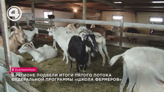 В регионе подвели итоги пятого потока федеральной программы «Школа фермеров» смотреть онлайн