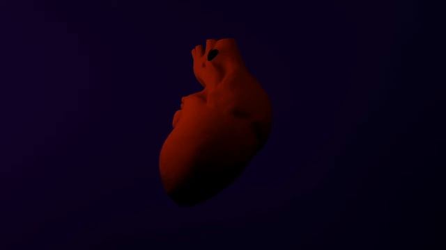 210 BPM смотреть онлайн