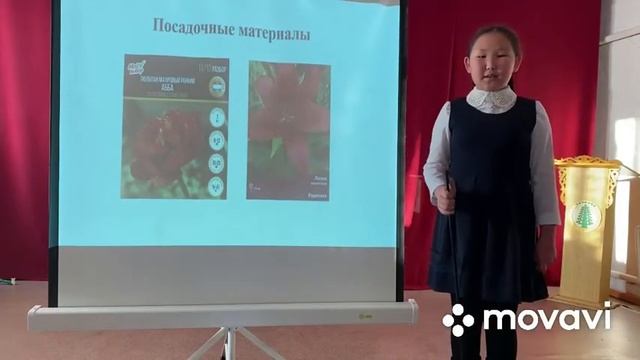 Тарбахова Сандра «Цветение луковичных растений в условиях якутской зимы» смотреть онлайн