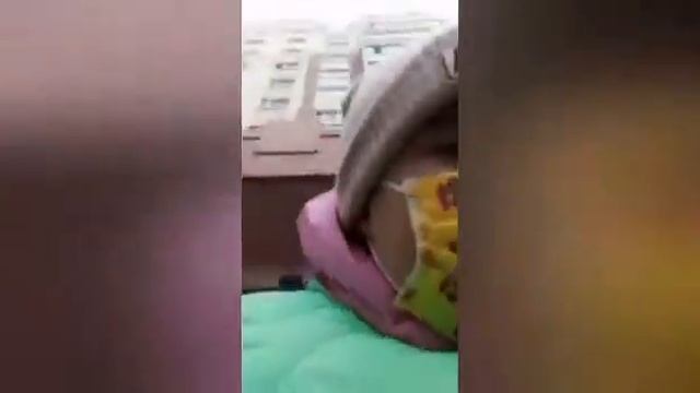 КУПИЛА СИРИЙСКИХ ХОМЯЧКОВ. ОЧЕНЬ РАДА ЭТОМУ СОБЫТИЮ💋😘😘 смотреть онлайн