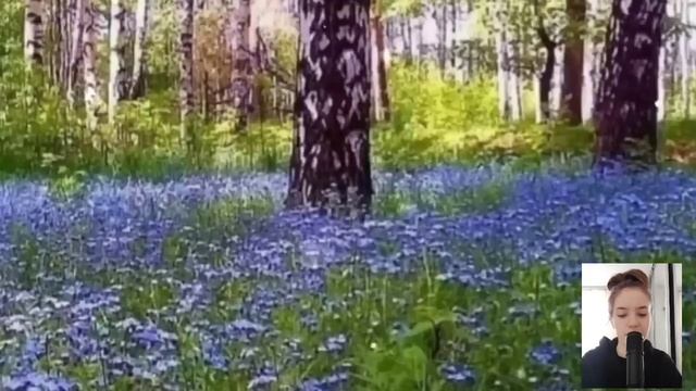 Нашли под деревом такое, от чего сердце затрепетало, это был настоящий клад... смотреть онлайн