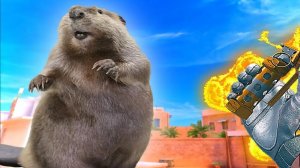 бобер сделал мне мувик