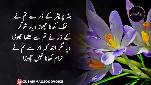 Log Ab Mohabbat nahe Karte | Beautiful Urdu Words | Urdu Poetry | Zubair maqsood voice смотреть онлайн