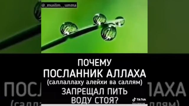 Пейте воду сидя ☝️ смотреть онлайн